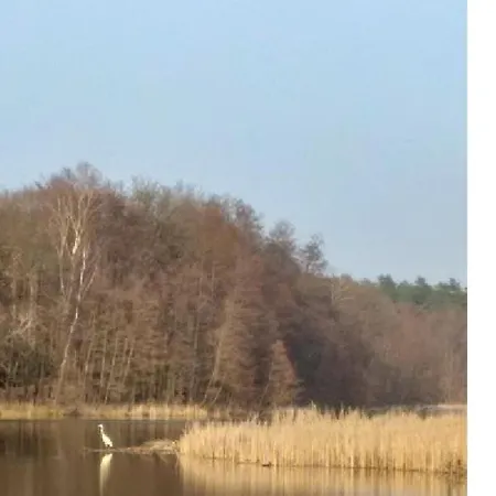 & Kattenstieg