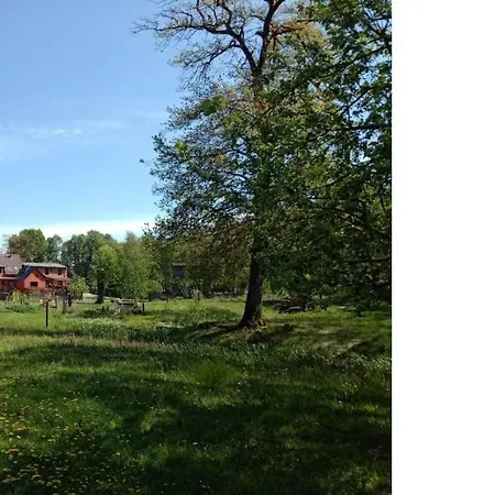 Guest house & Kattenstieg